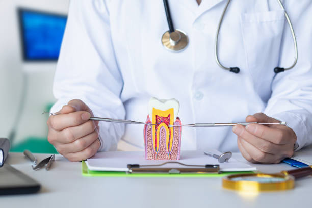 Best Weekend Emergency Dentist in Herald Harbor, MD